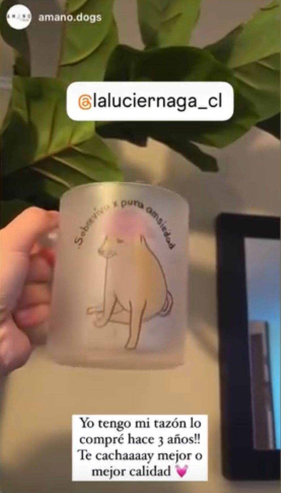 La Luciérnaga