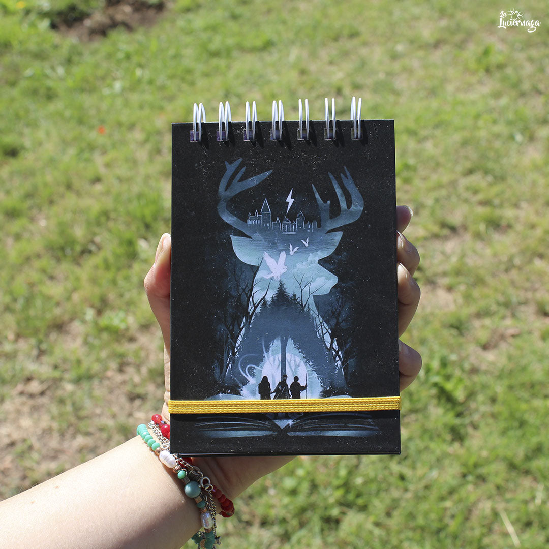 Pocket - Harry Potter